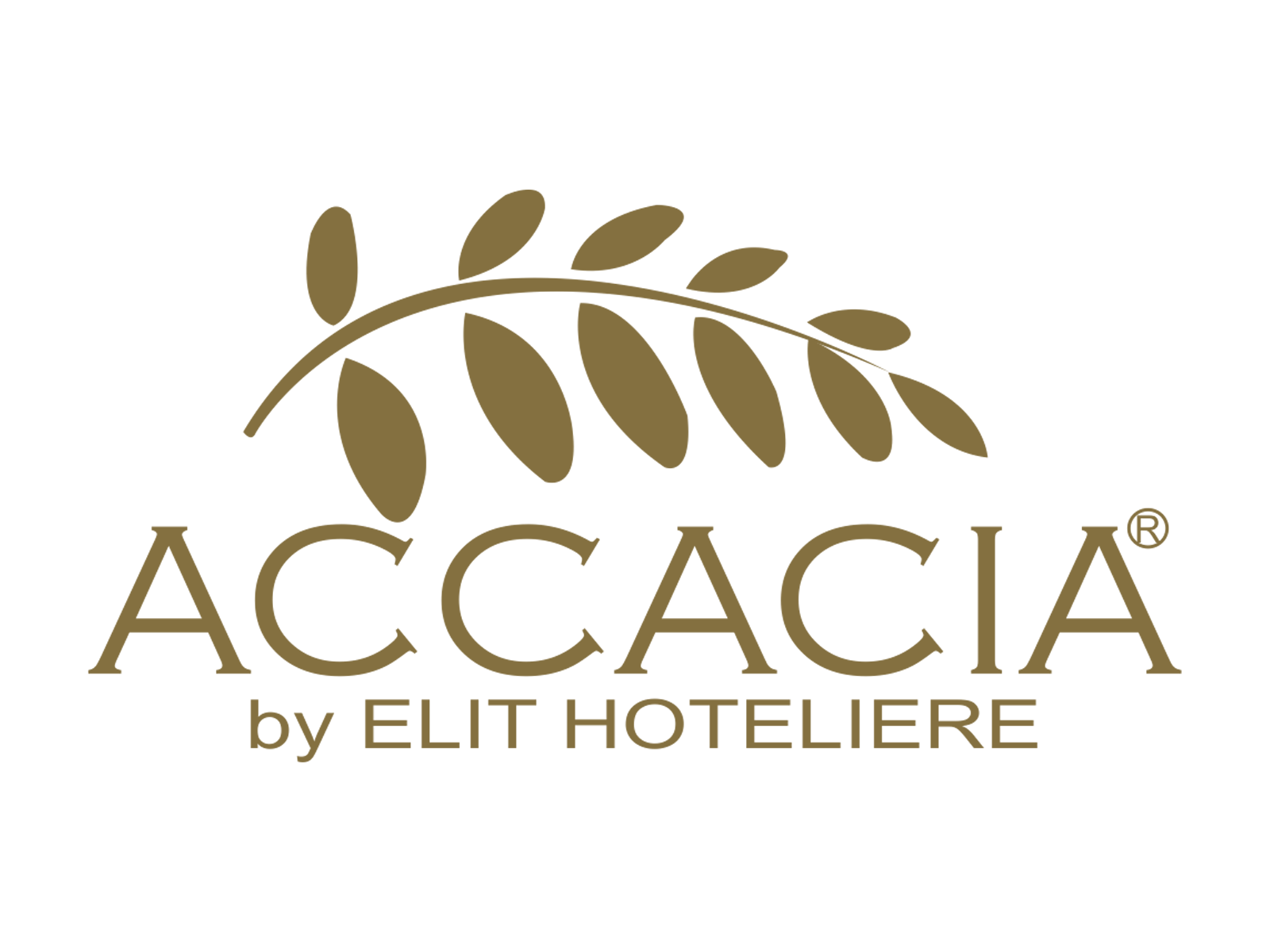 Accacia